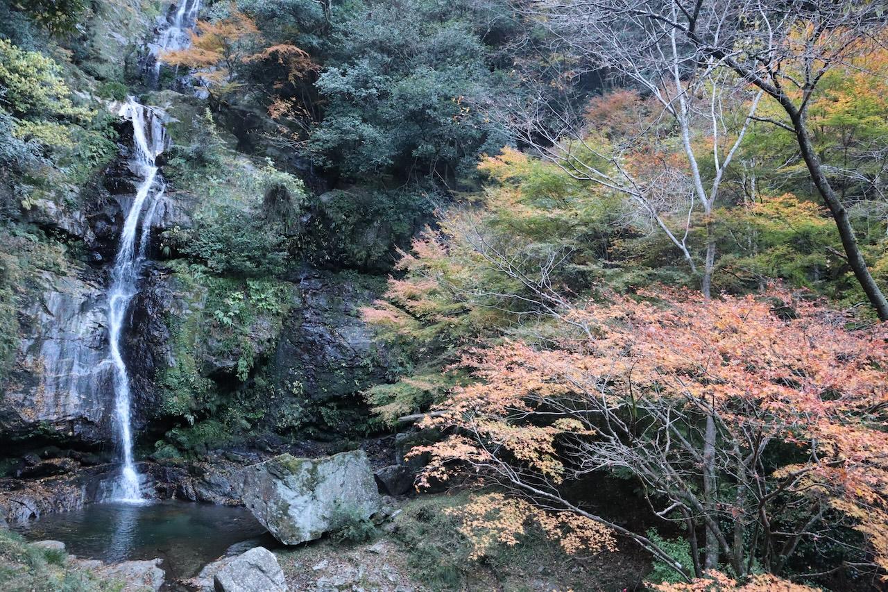 鳴滝 - Guidoor